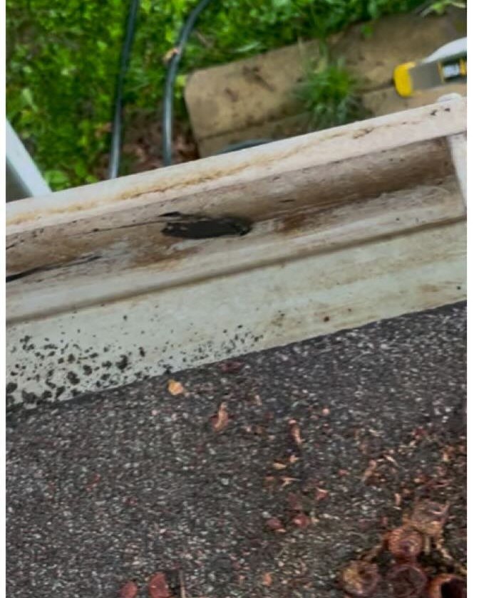 The same gutter packed with debris before cleaning and cleared out after
