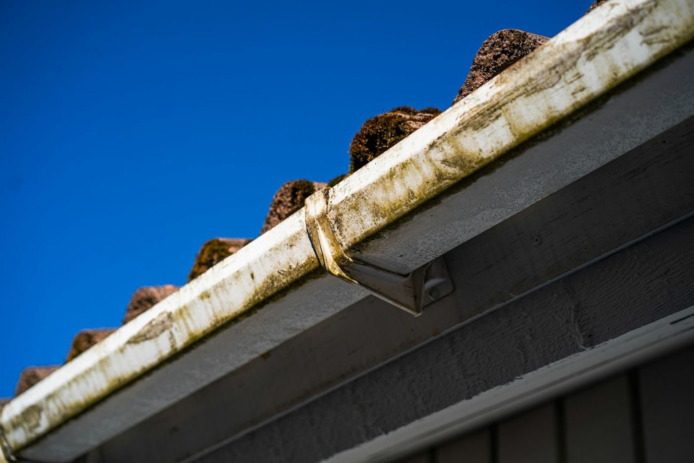 Roof edge and gutters with built-up debris